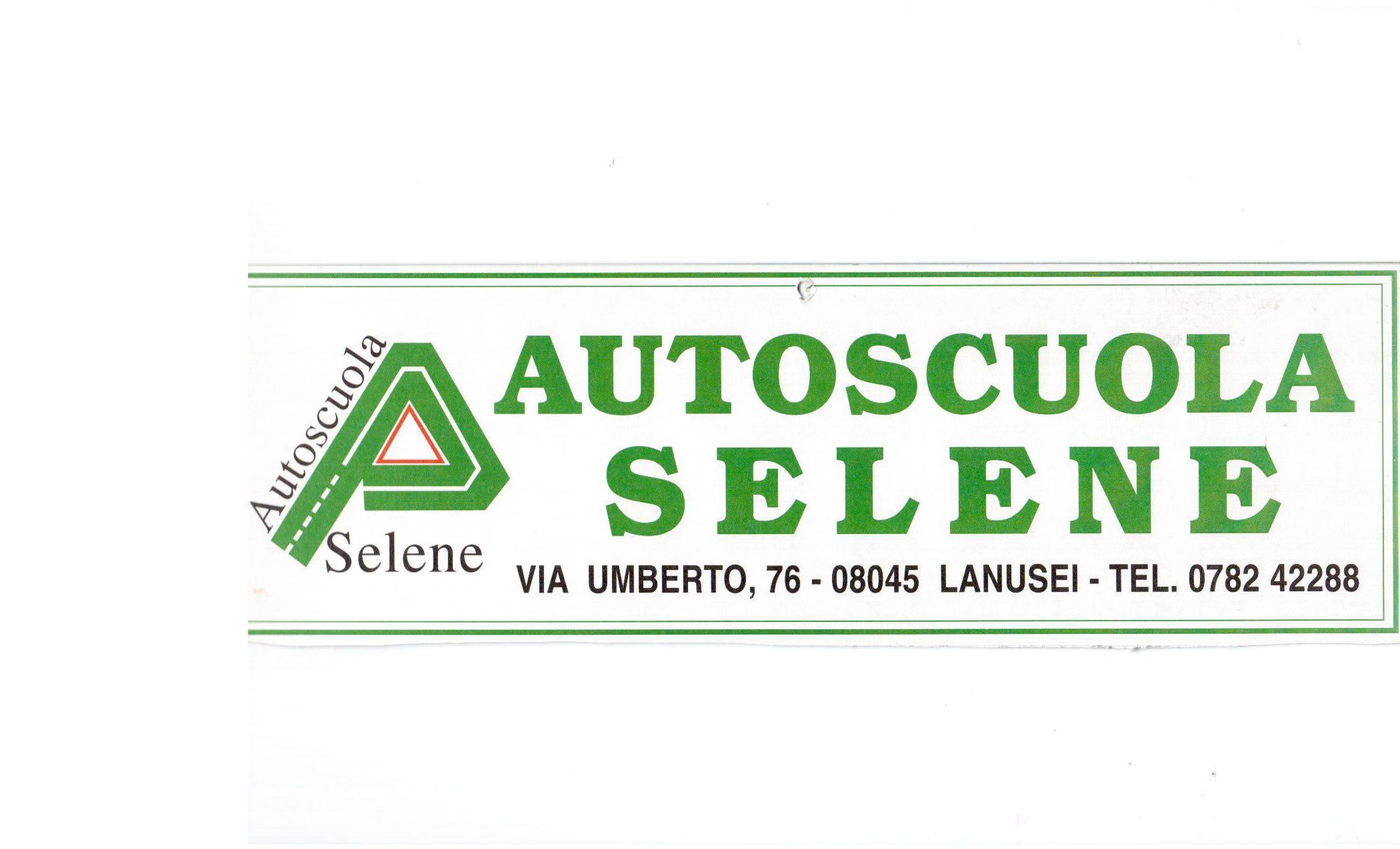logo_AUTOSCUOLA SELENE DI  NIEDDU MARIO GIUSEPPE E C.