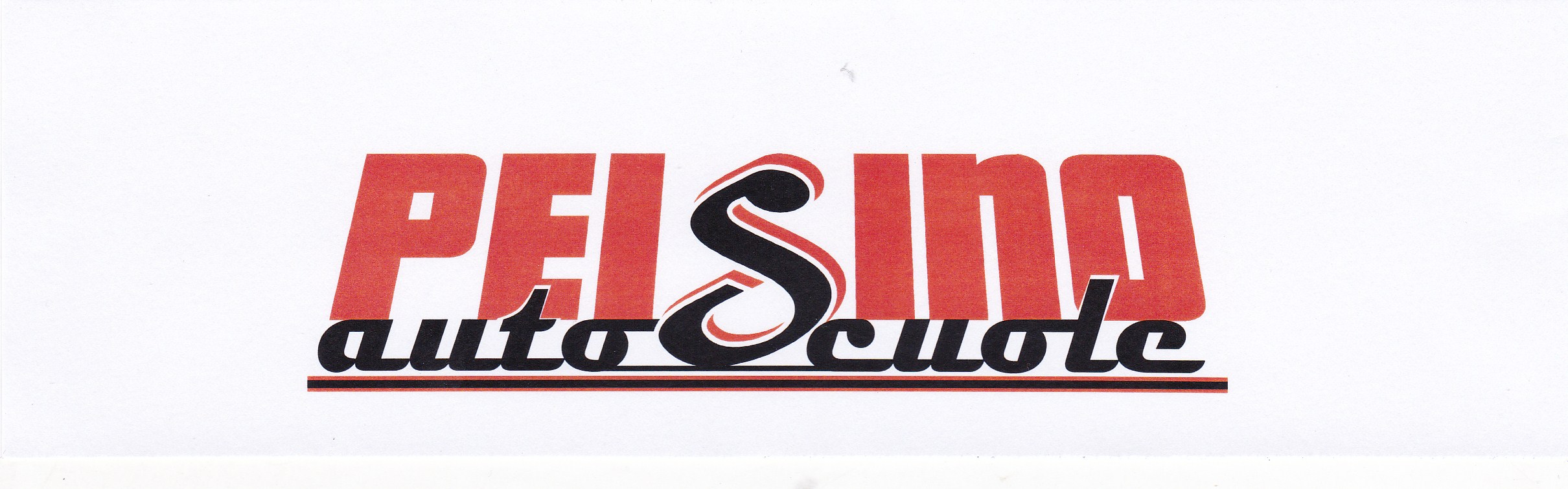 logo_PEISINO SNC